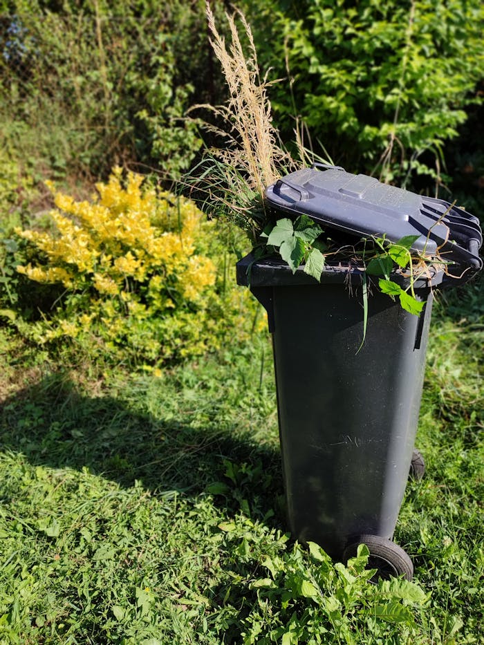 A garden waste bin filled with grass and foliage in a sunlit, vibrant garden.