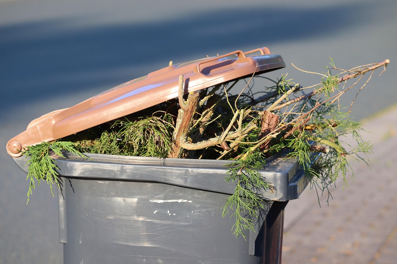 Mastering the First Impression: Your intriguing post title goes here garbage can, green cut, brown ton, waste, garbage, organic, garden waste, disposal, recycling, plastic, environment, environmental protection, waste disposal, waste container, waste separation, responsibility, clean up, the plants were cut, pruning, garden waste, garden waste, garden waste, garden waste, garden waste, pruning
