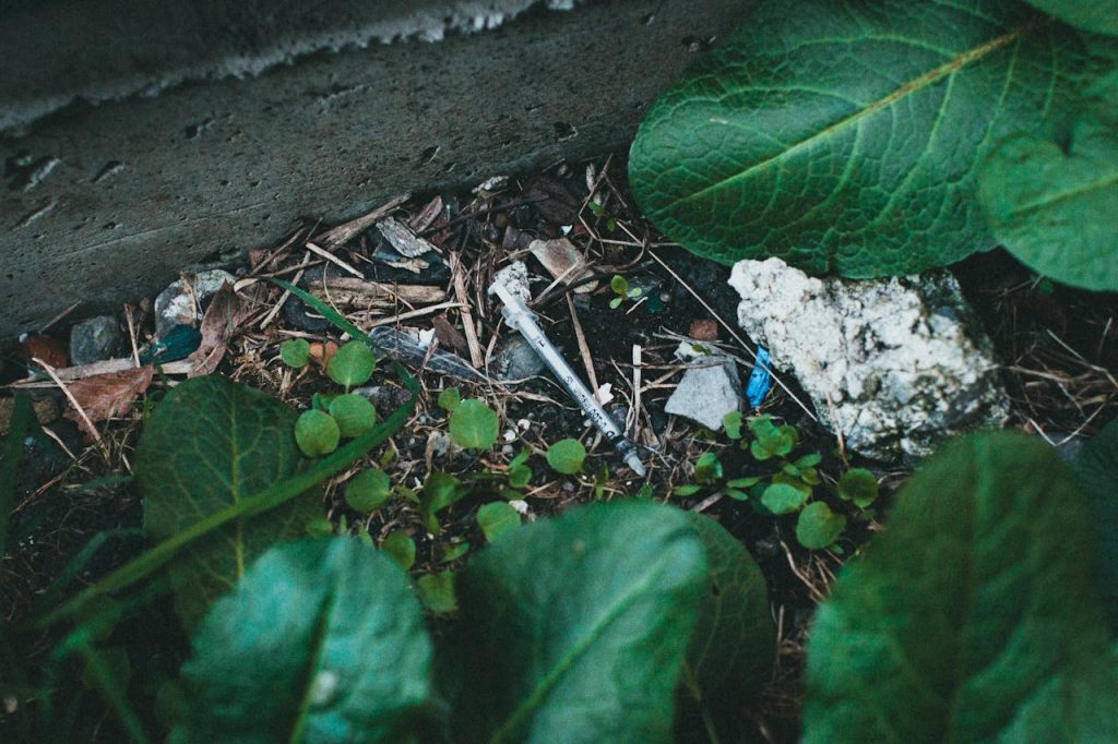 A discarded syringe lying among green leaves in a garden setting, highlighting environmental concerns.